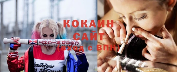 дмт Арсеньев