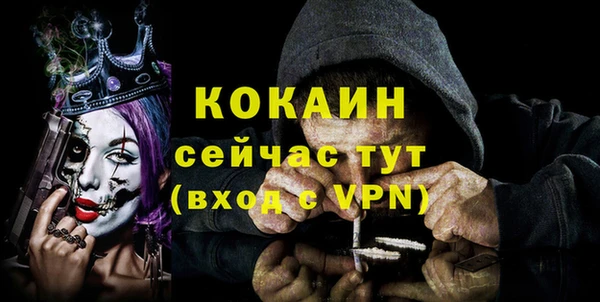 mdpv Ельня