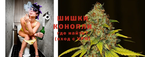 дмт Арсеньев
