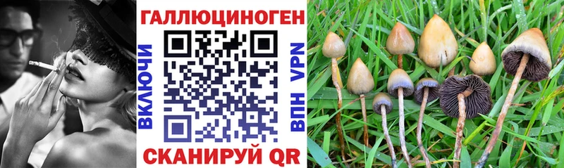 Псилоцибиновые грибы прущие грибы Саяногорск